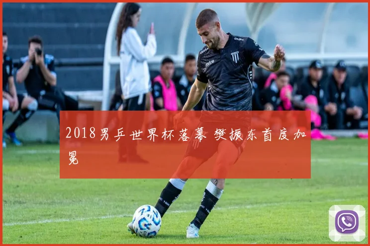 2018男乒世界杯落幕 樊振东首度加冕