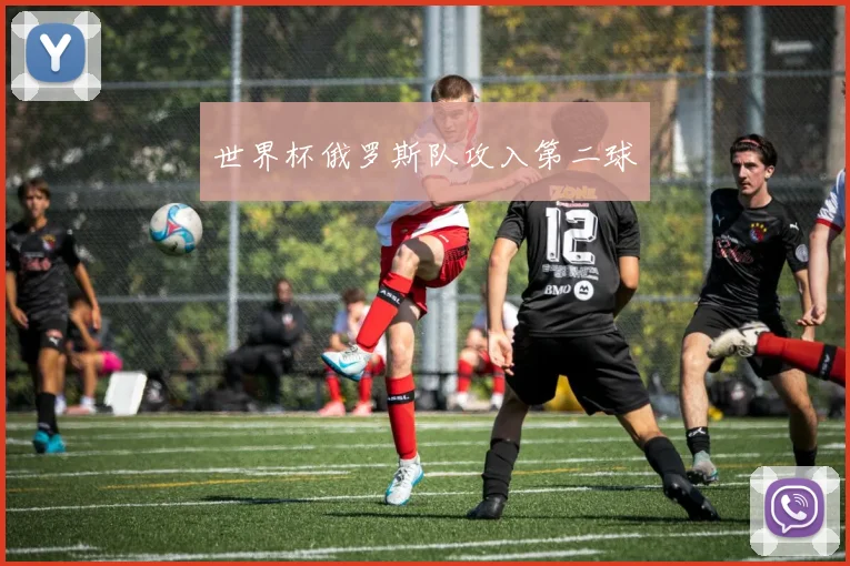 世界杯俄罗斯队攻入第二球