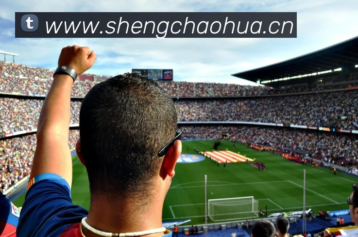 半岛网页版平台生态图