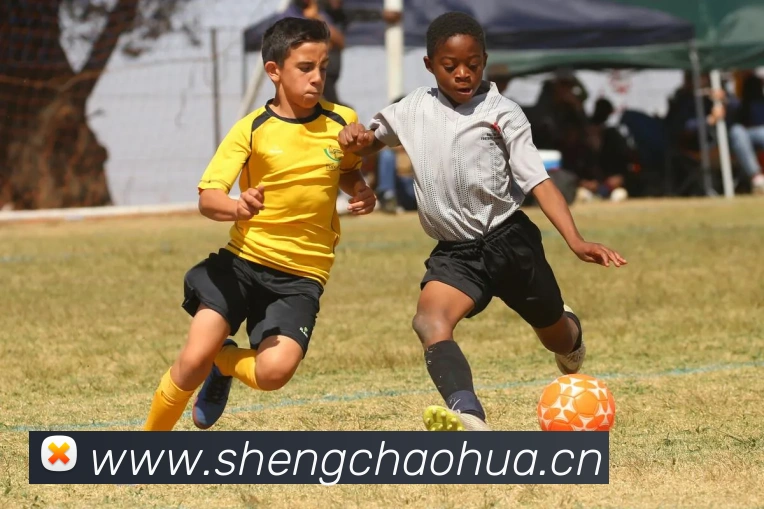 辅助工具 辅助工具